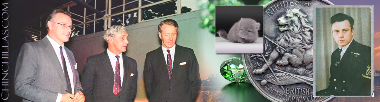 Feature Image for The Finding of Mr. X and the Gillingham Violet Chinchilla